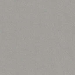 ���� Marburg Bloom 36353