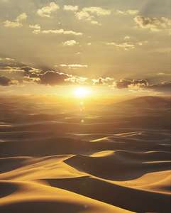  Marburg Dune 32545