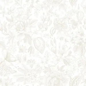  Marburg Gloockler Pompoos Provence 35615 -  1