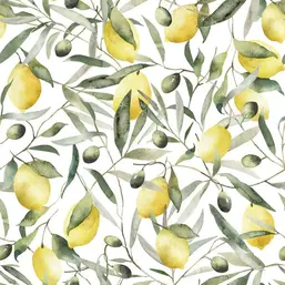  Marburg Gloockler Pompoos Provence 35618