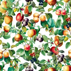  Marburg Gloockler Pompoos Provence 35632 -  1