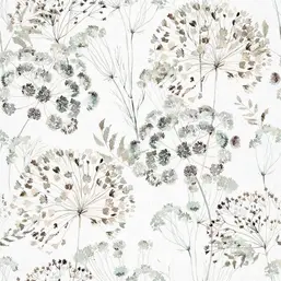  Marburg Gloockler Pompoos Provence 35637
