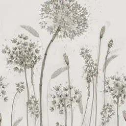  Marburg New Spirit 32750