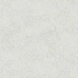  Mayflower  Transition FJ31208 -  1