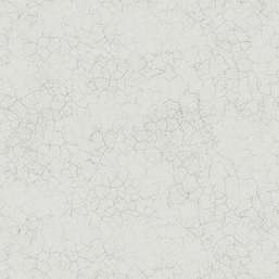  Mayflower  Transition FJ31208