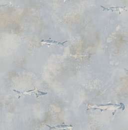  Mayflower  Aerial FJ000214