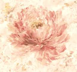  Mayflower  Jasper MF50501