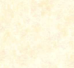  Mayflower  Jasper MF51104
