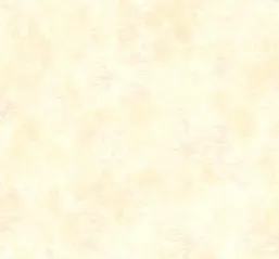  Mayflower  Jasper MF51104