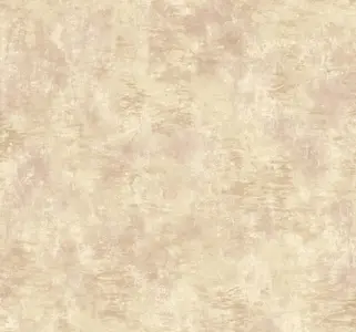  Mayflower  Jasper MF51119 -  1
