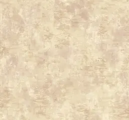 Mayflower  Jasper MF51119