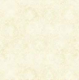  Mayflower  Providence MF60703