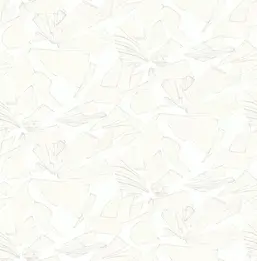  Mayflower  Transition FJ30010