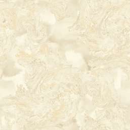  Mayflower  Transition FJ30507