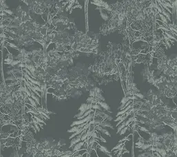  Milassa Ambient vol.4 AM5 008