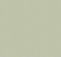 ���� Milassa ������ DK5005