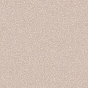  Milassa Iceland ICE4003 -  1