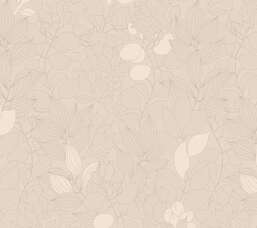 ���� Milassa �������� ���� ABC3 001