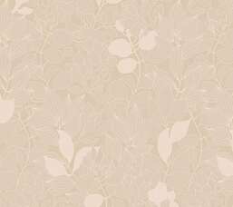 ���� Milassa �������� ���� ABC3 002