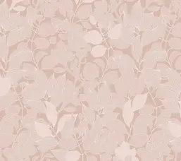  Milassa �������� ���� ABC3 003