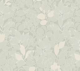 ���� Milassa �������� ���� ABC3 005-1