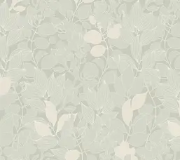 Milassa �������� ���� ABC3 005-1
