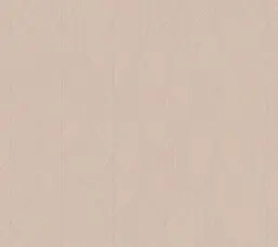  Milassa �������� ���� ABC4 007-1