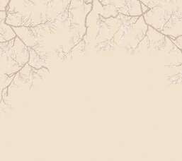 ���� Milassa �������� ���� ABC6 001-2