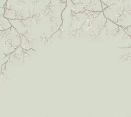  Milassa �������� ���� ABC6 005-1
