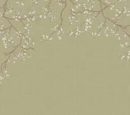 ���� Milassa �������� ���� ABC6 005-2