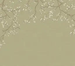  Milassa �������� ���� ABC6 005-2