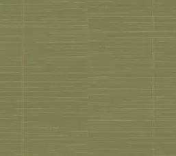  Milassa �������� ���� ABC7 005