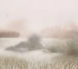  Milassa �������� ���� ABC8 002