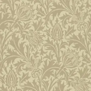  Morris&Co Compendium II 210480 -  1