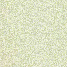 Morris&Co Compilation 216833