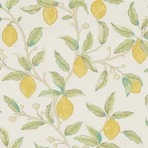  Morris&Co Melsetter 216672 -  1