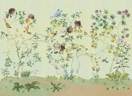  Ortograf Flora 31134