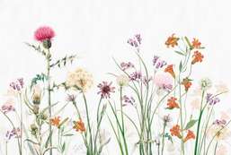  Ortograf Flowers 34079