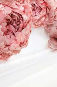  Ortograf Flowers 34147
