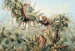  Ortograf It's Jungle 33673