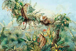  Ortograf It's Jungle 33674