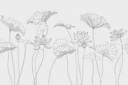  Ortograf Line art 34283