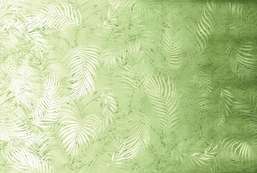  Ortograf Oasis 32714