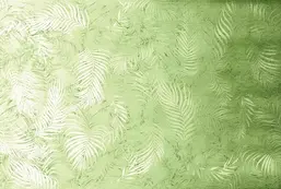  Ortograf Oasis 32714