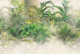  Ortograf Oasis 32725