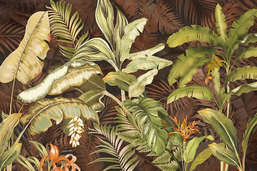  Ortograf Oasis 32728