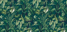  Ortograf Oasis 32749