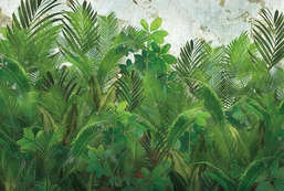 Ortograf Oasis 32775