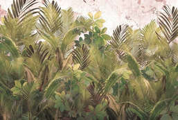  Ortograf Oasis 32777