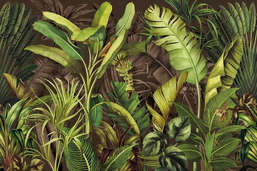  Ortograf Oasis 34206
